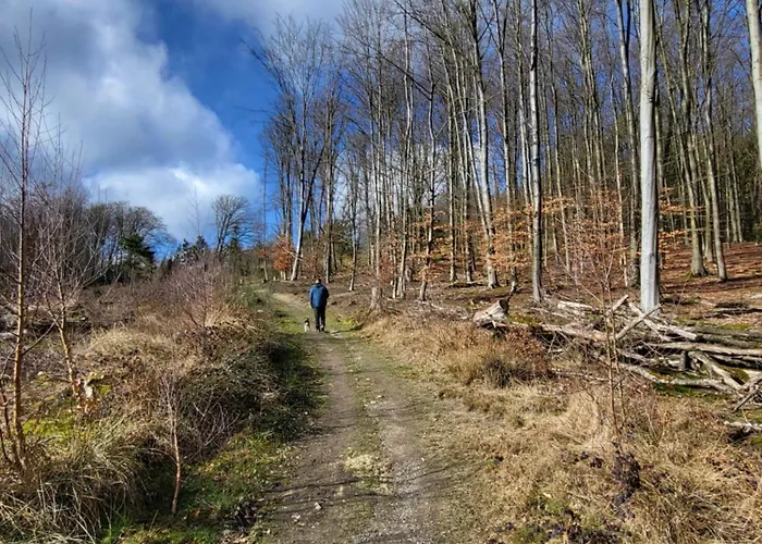 Muttental Apartamento *